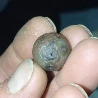 یاقوت * عقیق*کهربا