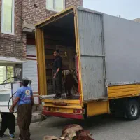 اساس کشی منزل شاهین‌دژ  باربری بهرامی ایسوزومسقف6م|خدمات حمل و نقل|شاهین دژ, |دیوار