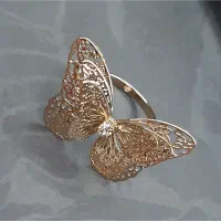 انگشتر و گوشواره و گردنبند و پرسینگ