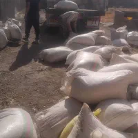 خاک پسته درجه یک