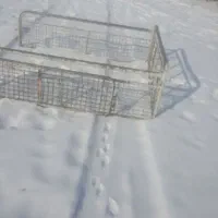 اتاق پیکان وانت