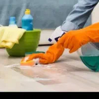 خانم برای امور خانه