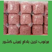 بادام زمینی