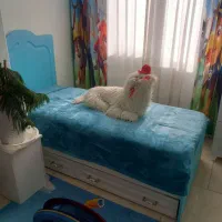 سرویس خواب نوجوان با تشک نو سالم اصلا استفاده نشده