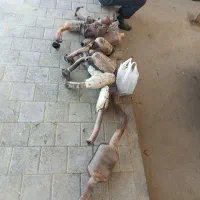 فروش خ ی خاک کاتالیزورکاتالیزکاتالیست اگزوز|قطعات یدکی و لوازم جانبی|تهران, افسریه جنوبی|دیوار