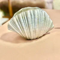 تعدادی وسایل تزئینی