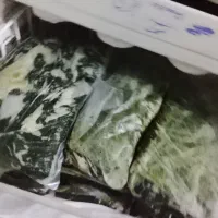 اسکاج ساده وتوت فرنگی ولیف ساده به فروش می‌رسد