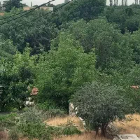 زمین تجاری مسکونی با مجوز ۳۸۰ متر بنا۲۰ متر تجاری|فروش زمین و ملک کلنگی|هشتگرد, فشند|دیوار