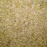 ارزن ریز|لوازم جانبی حیوانات|اصفهان, جاوان|دیوار