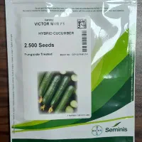 بذر خیار ویکتور خوش قیمت