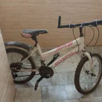 دو چرخه فوری