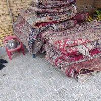 نیروی کار جوان زیر بیست سال