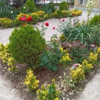 خدمات کلیه باغبانی باغچه کاری گلکاری کاشت گل وگیا