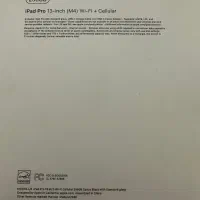 iPad Pro 2024 M4 13inch 256 WiFi + Cellular