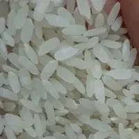 برنج کامفیروزی