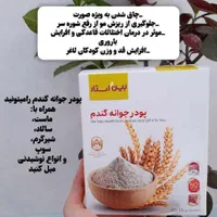 جوانه گندم