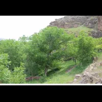 فروش باغ میوه|فروش زمین و ملک کلنگی|مشهد, کارده|دیوار