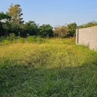 فروش زمین ۲۰۰ متری کاربری مسکونی چایخانسر|فروش زمین و ملک کلنگی|چابکسر, |دیوار