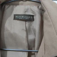 کرم شکلاتی|لباس|سقز, |دیوار