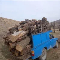 خرید چوب|خدمات باغبانی و درختکاری|اسدآباد, |دیوار