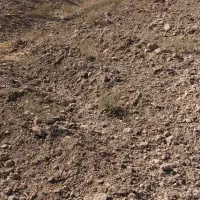 زمین دوربر تفکیک شده