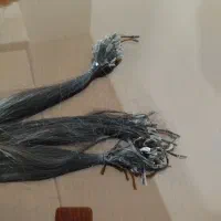 موی طبیعی ۶۵ سانت|آرایشی، بهداشتی، درمانی|ری, ولی آباد|دیوار