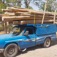 خرید چوب سقفی و انواع درخت