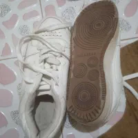 کفشها|کیف، کفش، کمربند|اهواز, منبع اب|دیوار