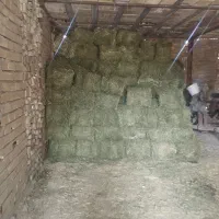 پرس یونجه چین ۴بدون گیاه