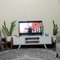 تلوزیون مارک Bost