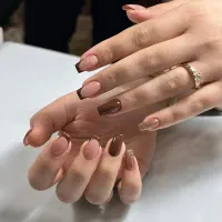 تخفیفات ویژه کاشت