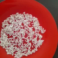 برنج هاشمی درجه یک سورتینگ شده ومعطر|خوردنی و آشامیدنی|اصفهان, جلفا|دیوار