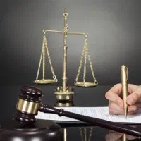 وکیل پایه یک دادگستری با ۱۷  سال سابقه- مقطع دکترا