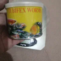 غذای توبیفکس و بیومار ایرانی