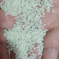 فروش نیمدانه طارم هاشمی ۲۲۰کیلو کیلویی ۱۵۰۰۰۰