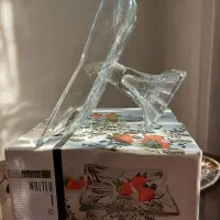 ظروف پذیرایی