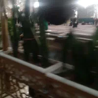 باغبانی و درختکاری، هرس کردن تیلر زدن کودوگل|خدمات باغبانی و درختکاری|مشهد, احمدآباد|دیوار