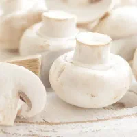 قارچ تازه درجه یک پشت بسته