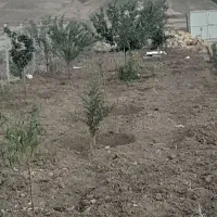 باغ ۱۰۰۰متری