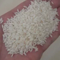 برنج عنبر بو