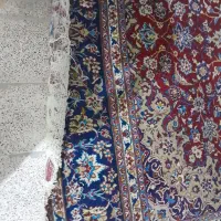 فرش|فرش|اصفهان, هفتون|دیوار