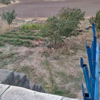 خانه-باغ-لوکس