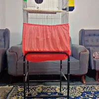 یک جفت عروس هلندی.نر کاملا سخنگو.ماده دستی شاه تخم|پرنده|اسلام‌شهر, ایرین|دیوار