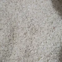 برنج عنبربو