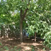 خانه باغ روستای دربرز بخش خضرآباد