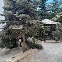 ولنجک ۱۶۵متر ۳خواب ۲۰متر حیاط اختصاصی|اجارهٔ آپارتمان|تهران, ولنجک|دیوار