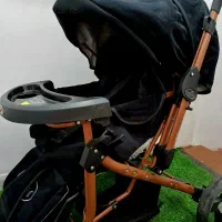 کالسکه دلیجان مدل بنیتا