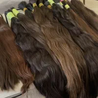 صادرات مو در مشهد مرکزی