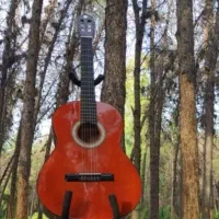 گیتار کلاسیک کینگ