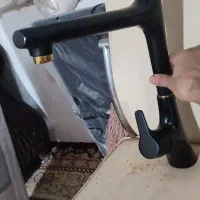 شیر مشکی خشگل بخاطر تعویض خونه احتیاج ندارم بهش